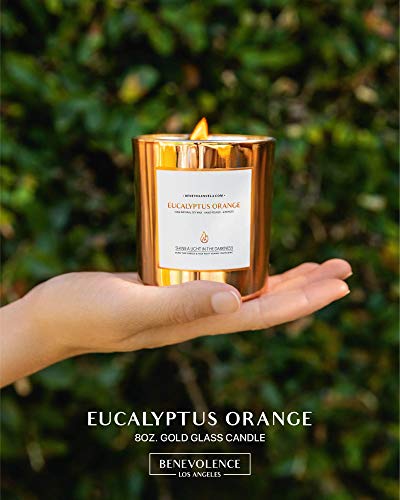 Eucalyptus & Orange Scented Meditation Candle